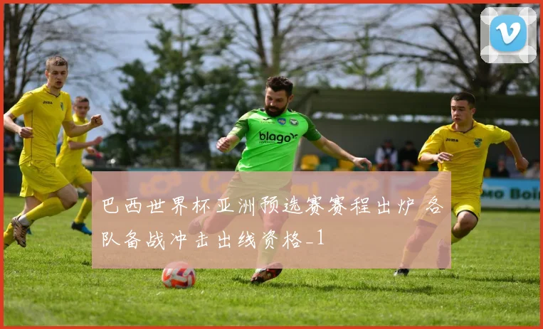 巴西世界杯亚洲预选赛赛程出炉 各队备战冲击出线资格_1